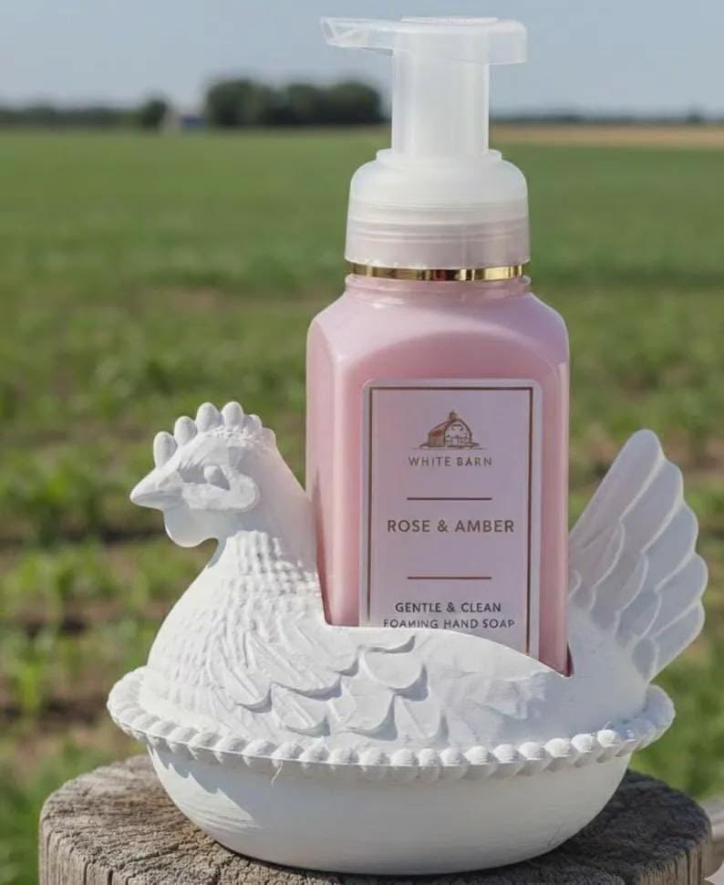 Hen on Nest with storage